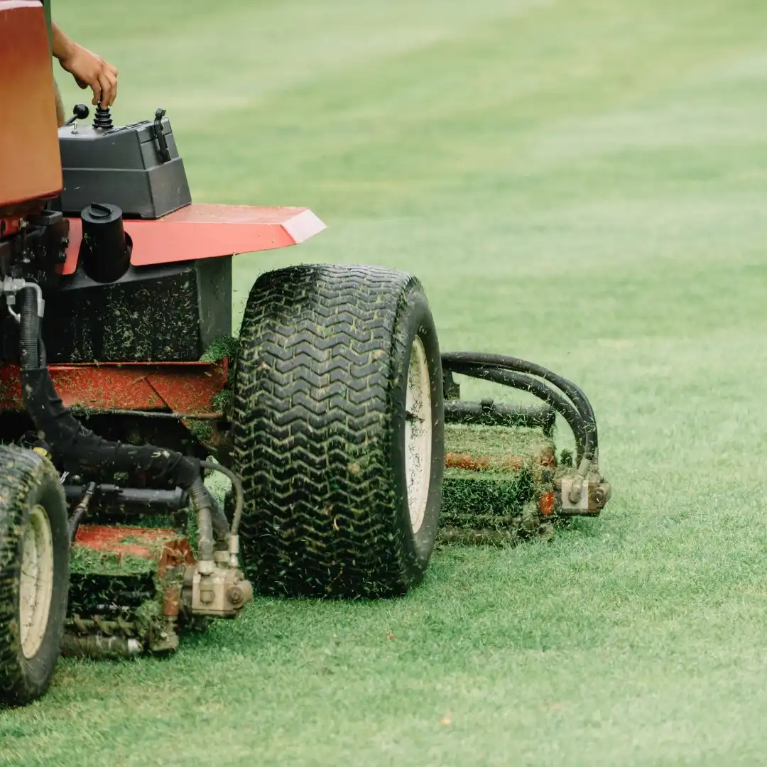 A closeup view of landscaping equipment in use on the green.